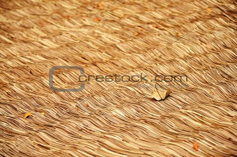 Leaf on roof weave