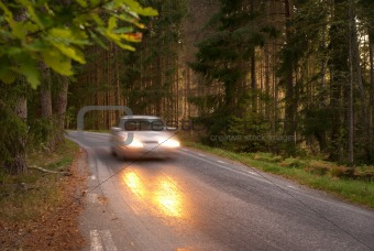 Car in forest