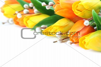 Orange and yellow tulips border