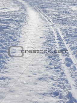 Snow covered park walkway