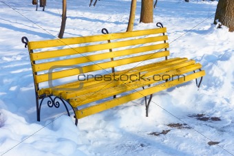 Yellow bench in winter park