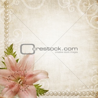 Paper grunge background with pink lily 