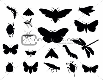 Vector insects set