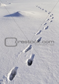 Human footprints in snow