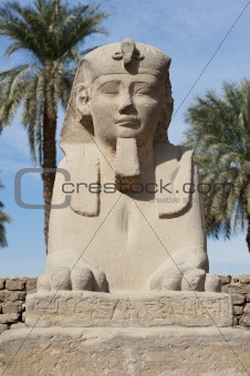 Sphinx at Luxor temple