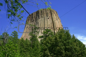 Devil's Tower with Branch