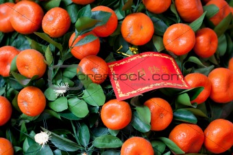 Chinese New Year Decoration - Red greeting card on tangerines tr