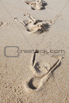 Fin prints in sand