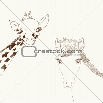 Giraffe and horse