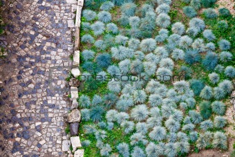 Cobbled road and green plants pattern in San Giorgio Castle in L
