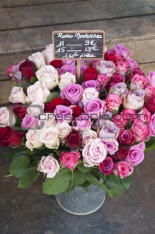 Red, White and Pink roses in Metal Bucket in French Market.