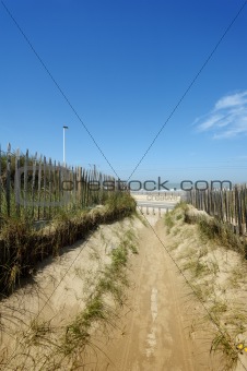 A beautiful path through the dunes