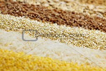 Various grains close up