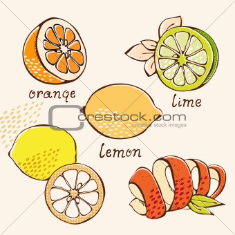 Citrus doodle set