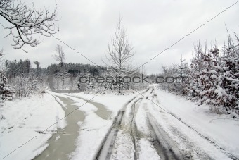 crossroad in winter