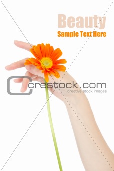 Beauty hands and flower