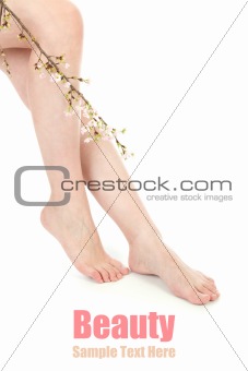 Beauty legs and flower