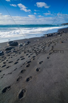 Exotic beach with black sand and footprints