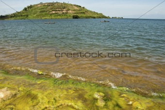 Mossy lakeside