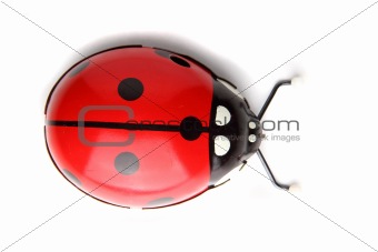 old red ladybird toy
