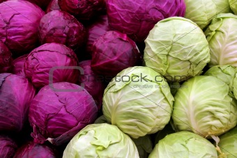 white and purple cabbage