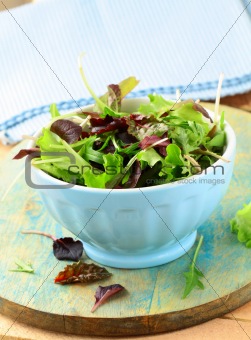 mix salad (arugula, iceberg, red beet) in a bowl on the table