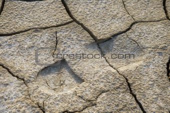 Footprint in dried earth