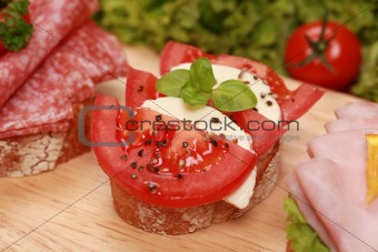 Fingerfood with tomatoes and mozzarella