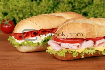 Sandwiches with salmon and ham