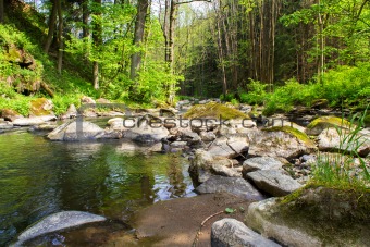 small wild river in Bohemian forest 