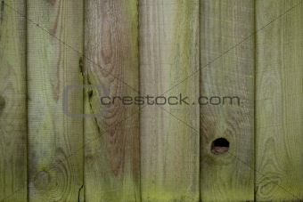 Mossy wooden fence