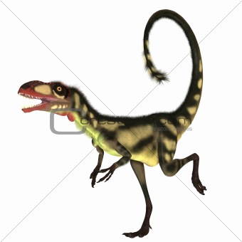 Dilong Dinosaur01