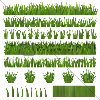 Grass Over White