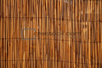 Close up of a bamboo fence, lit by warm evening sunlight.
