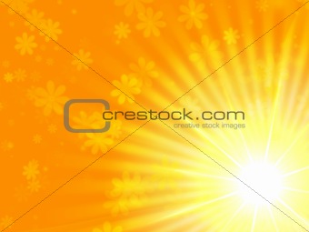 sun yellow light with flowers