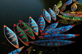 Colorful boat docked in flowerlike formation