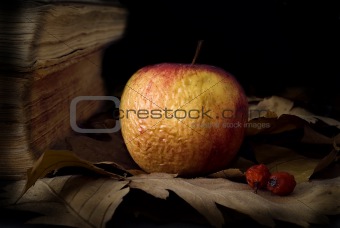 Old apple