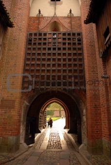 entrance gate of the castle