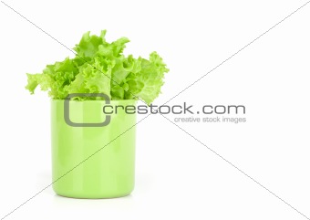 lettuce leaves in a cup on white background