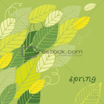 Spring leaf card