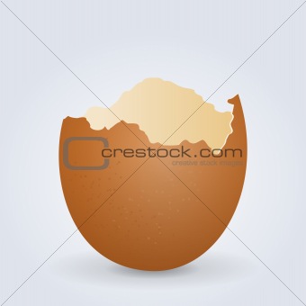 Broken Egg Shell