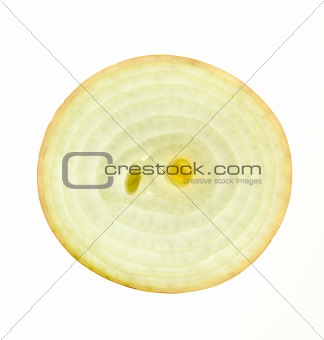 Slice of a fresh Onion /  back lit / isolated on white