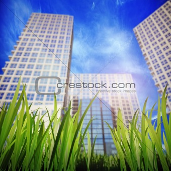 grass and skyscrapers