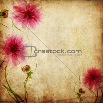 Old paper background with pink flowers 