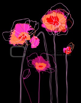 Pink poppies on black background.