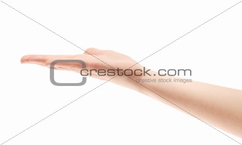 Showing Hand Isolated