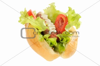 Tasty and delicious hotdog