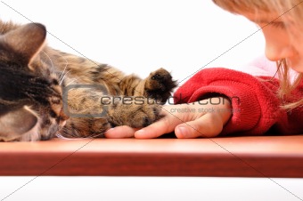 child and cat playing together