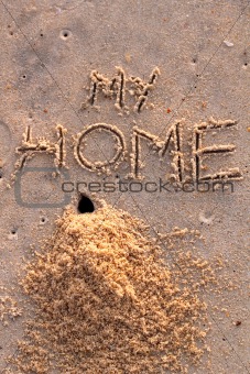 Crab hole and a pile of sand with words my home 