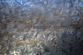 Ice Flowers on Glass